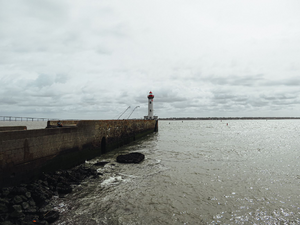 Toiletteur Saint-Nazaire
